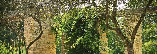 D61DC761-667B-45C5-9CD5-4DCAF16C8218_4_5005_c